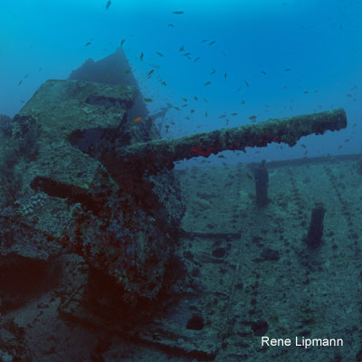 gun1