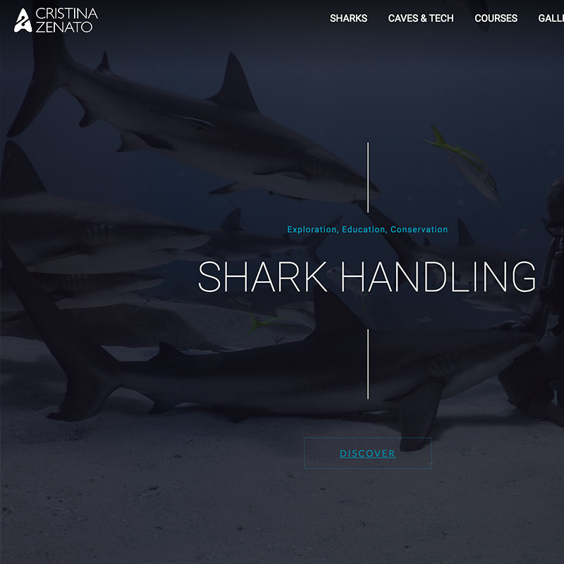 Wordpress Theme Developers Cornwall